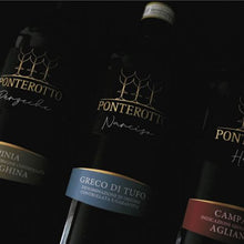 Ladda upp bild till gallerivisning, Specialsläpp - viner från Irpinia i närheten av Vesuvius! 12 flaskor