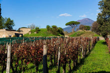 Ladda upp bild till gallerivisning, Specialsläpp - viner från Irpinia i närheten av Vesuvius! 12 flaskor
